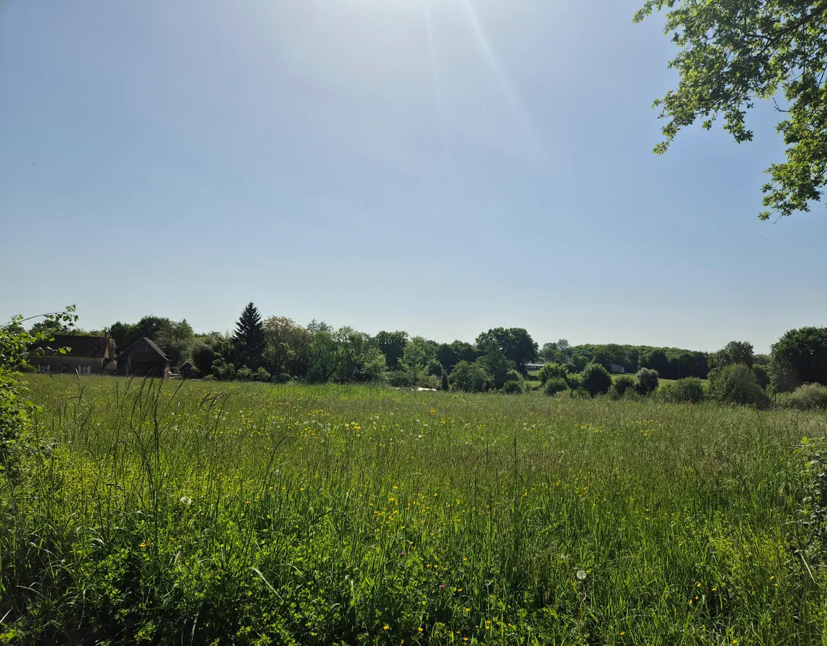Balade à Courcemont