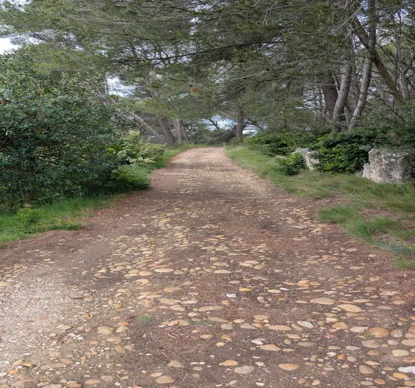 Autour du cimetière de Barbentane