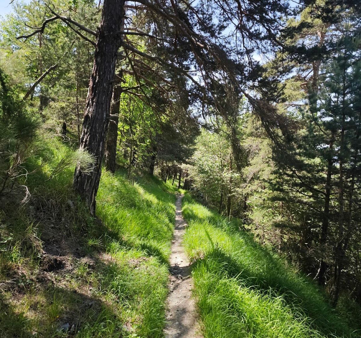 Ferion Mont Férion et Col du Dragon