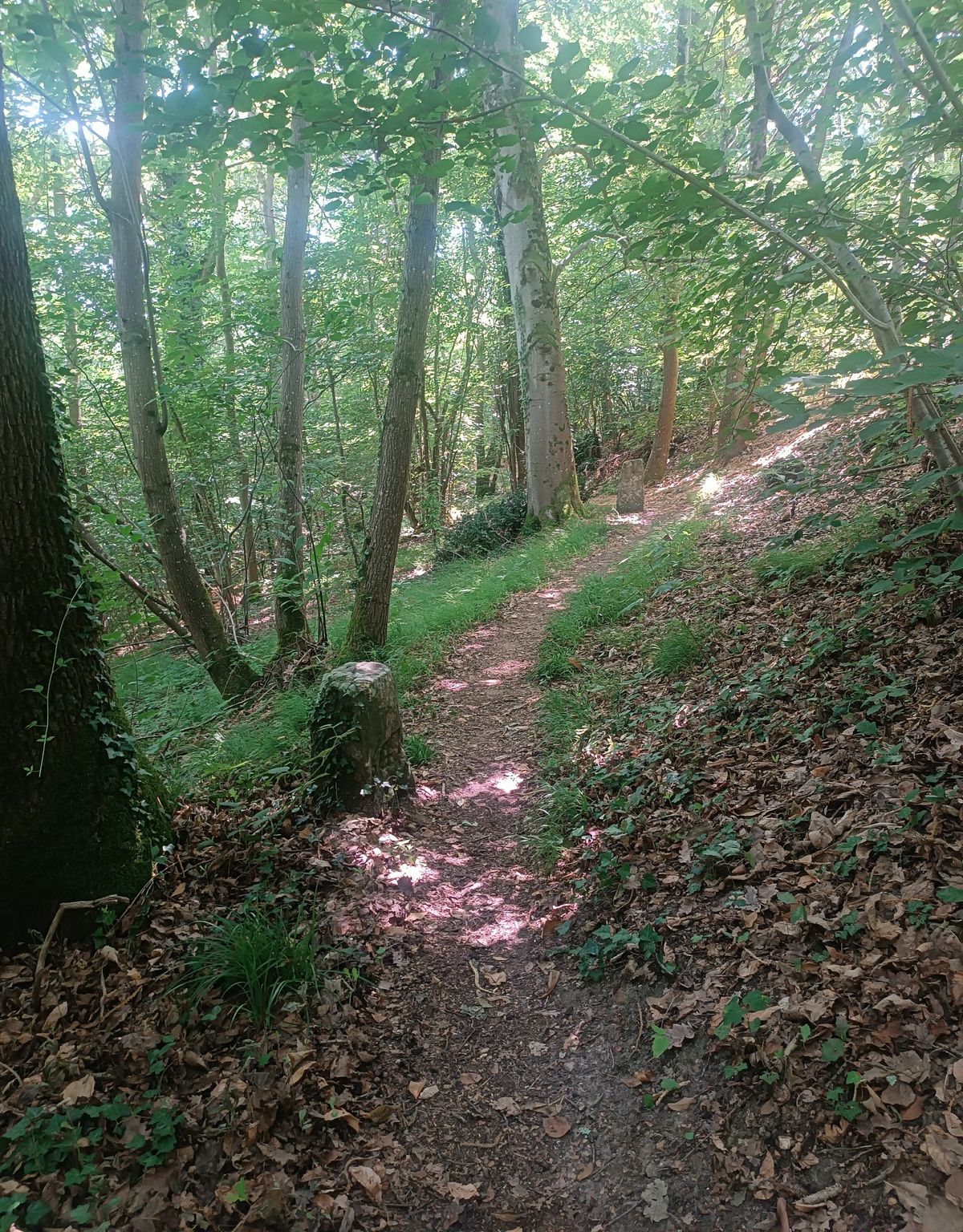 Rozene Rochette De La Rochette à Brolles