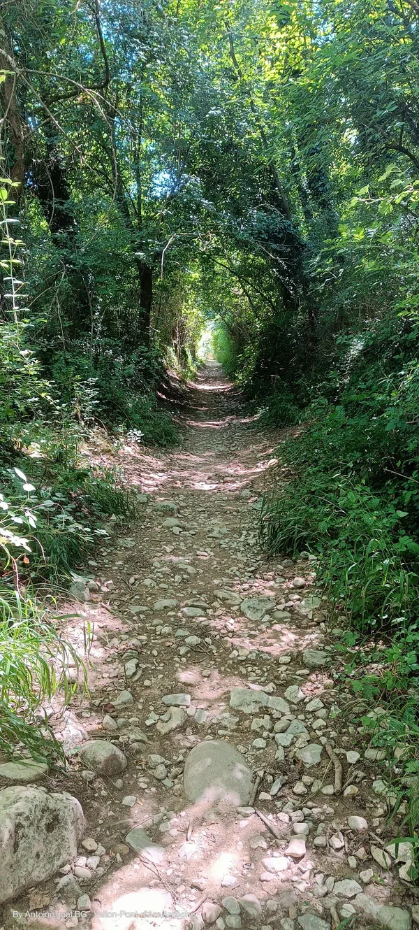 Balade pour aller à Vallon-Pont-d'Arc