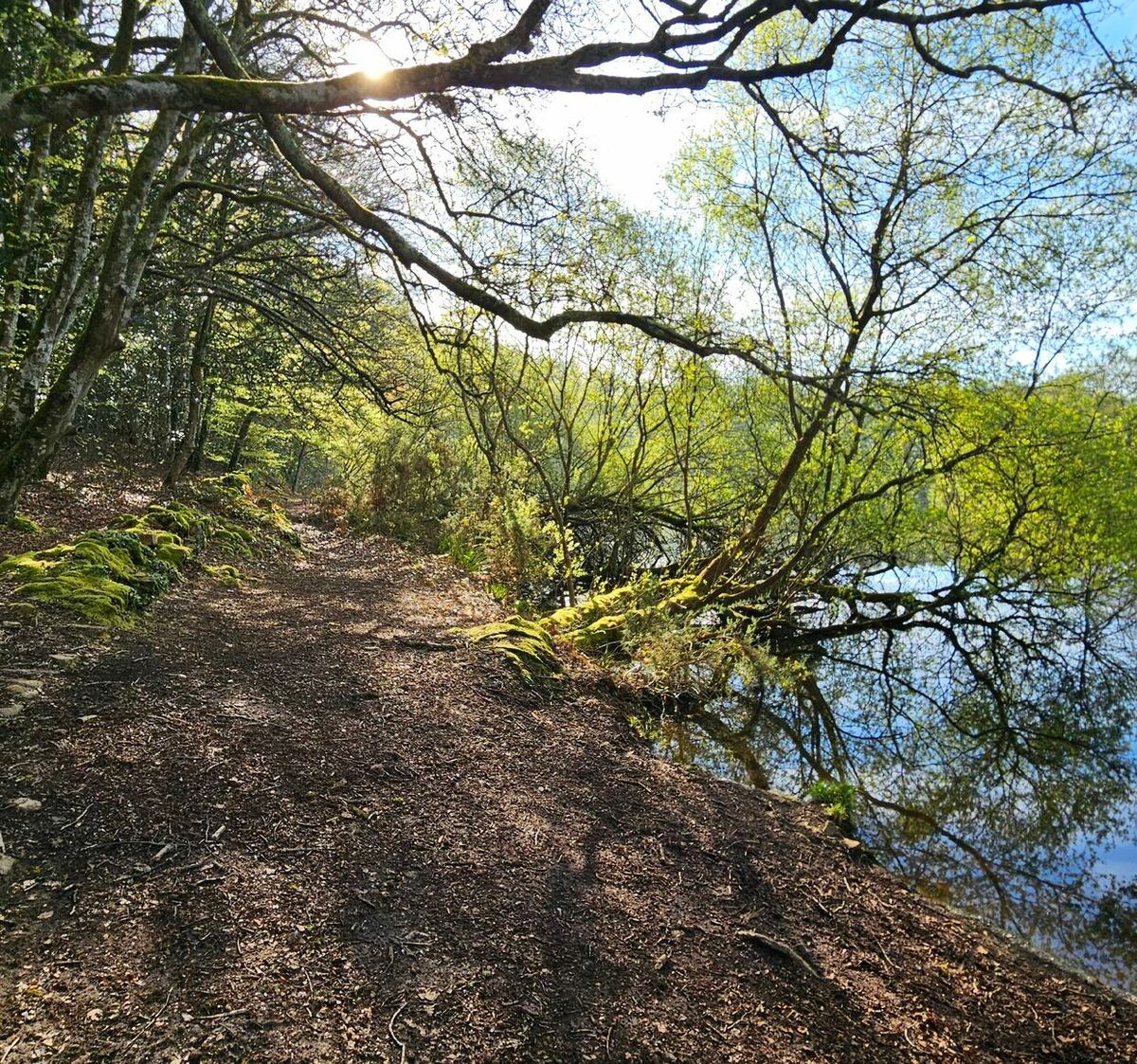 Brech Rando Brech et le Loc'h par Trézelén