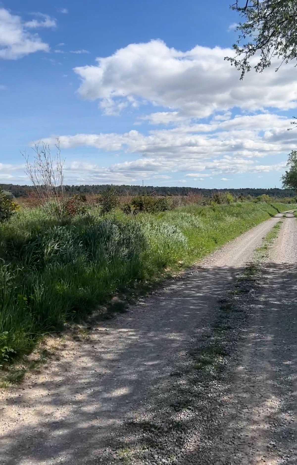 dans-la-campagne-entre-chemins-et-petites-routes-de-vestric-et-candiac