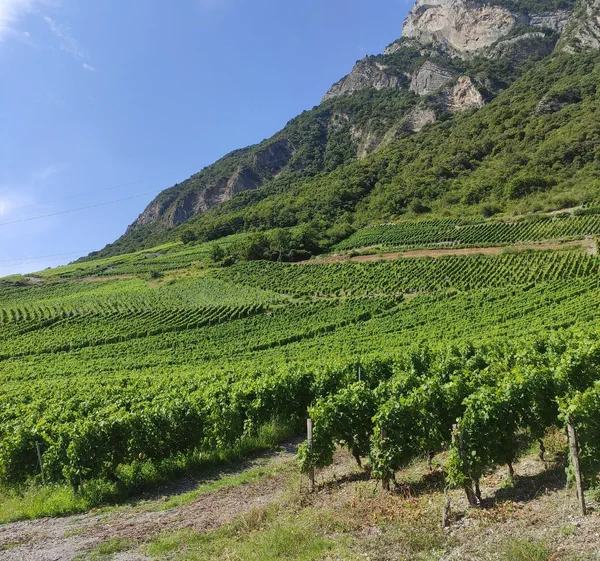 De Barberaz à Montmélian