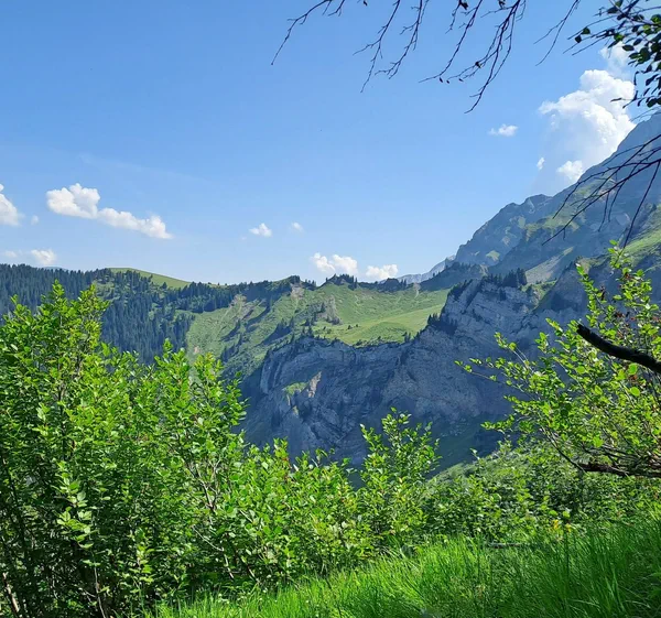 Randonnée passant par Taveyanne et la Croix des Chaux