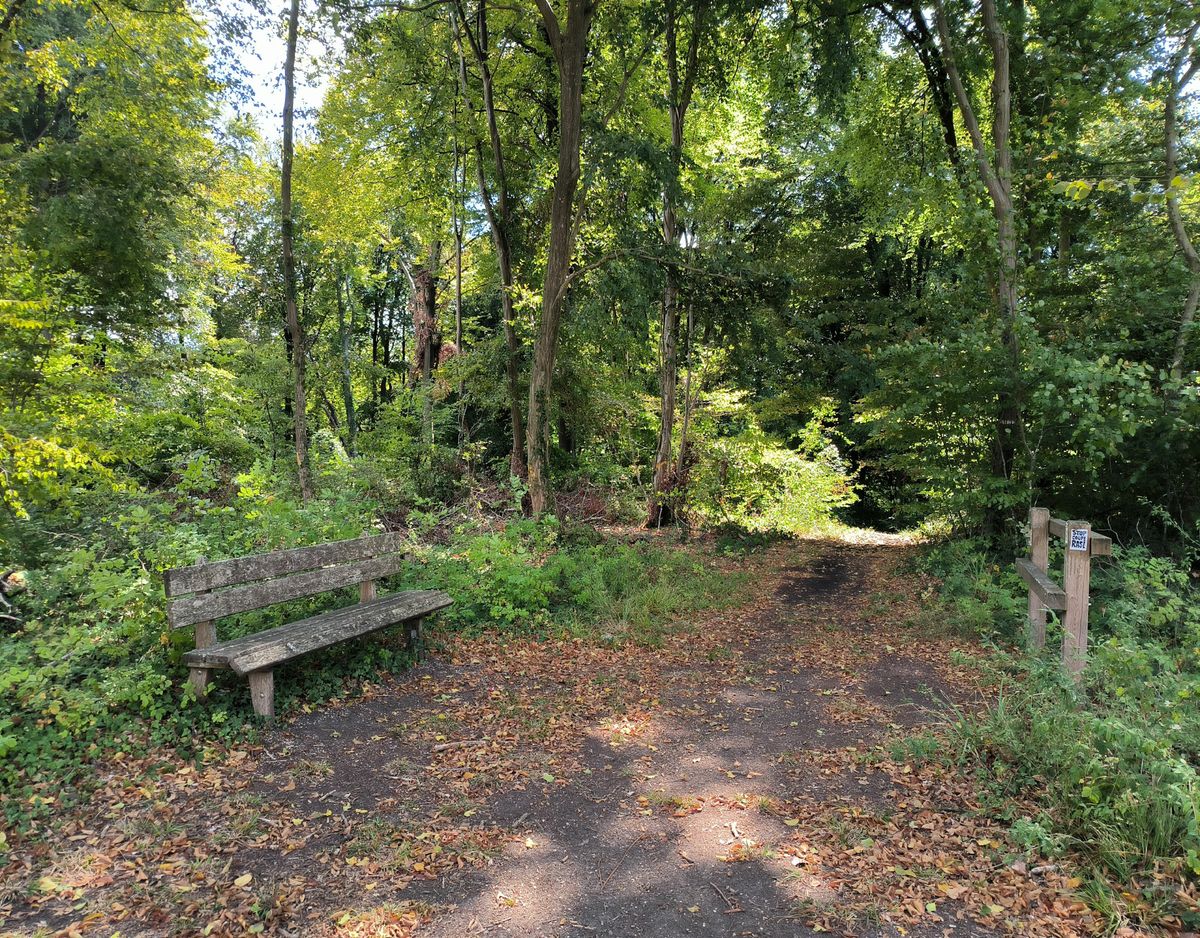 Balade en forêt