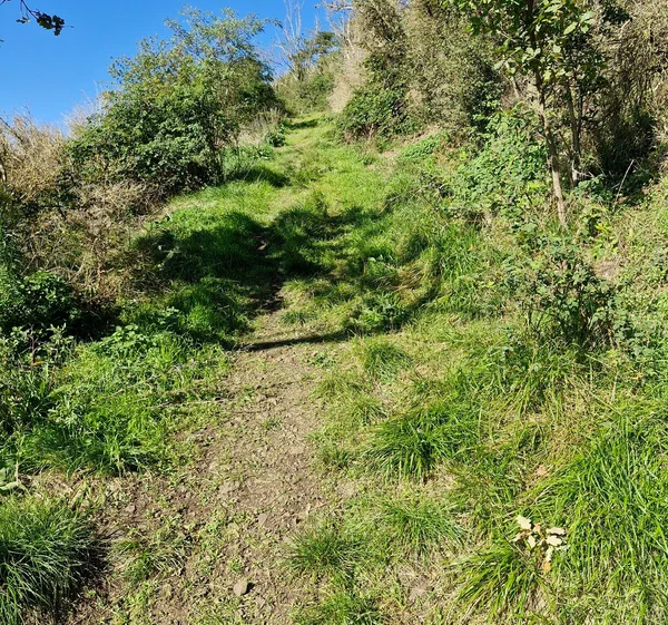 Turluron A la conquête des 2 Turlurons