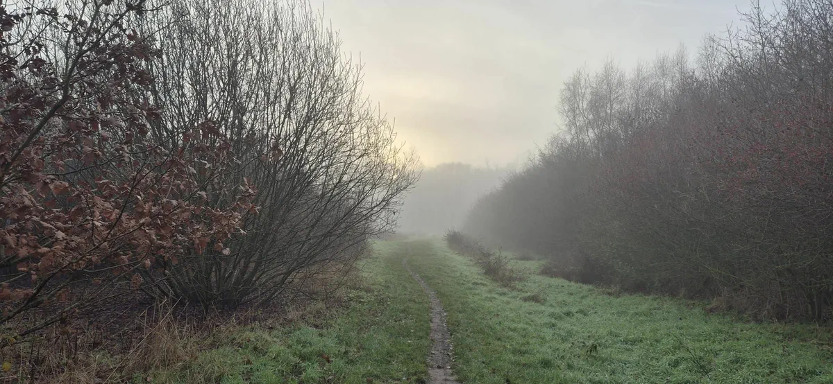 Promenade En Nature promenade-en-nature