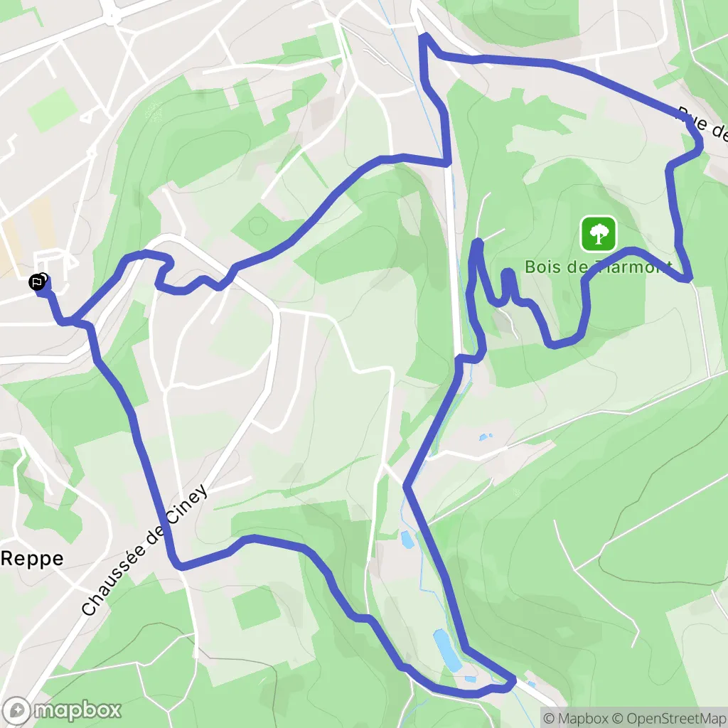 Wandelen in Andenne, Namen