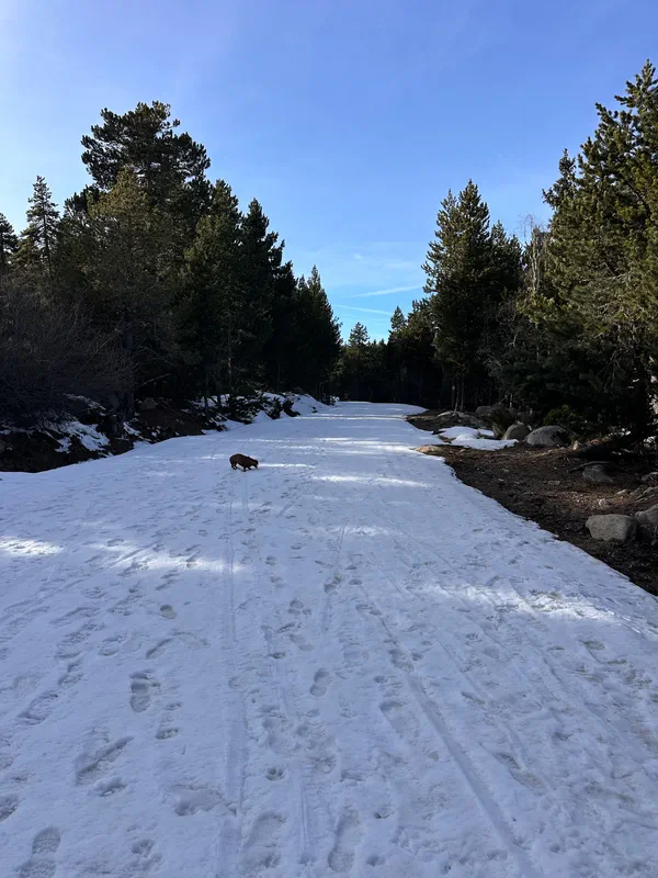 Randonn e le Petit Canada Au Pla De Barres randonn-e-le-petit-canada-au-pla-de-barres