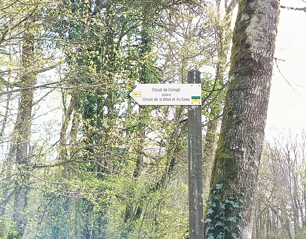 Sortie nature entre la Bôve, le Côna et le parc des Roches