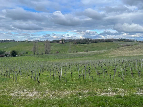 Fronsac Entre château et vieux moulins à Fronsac
