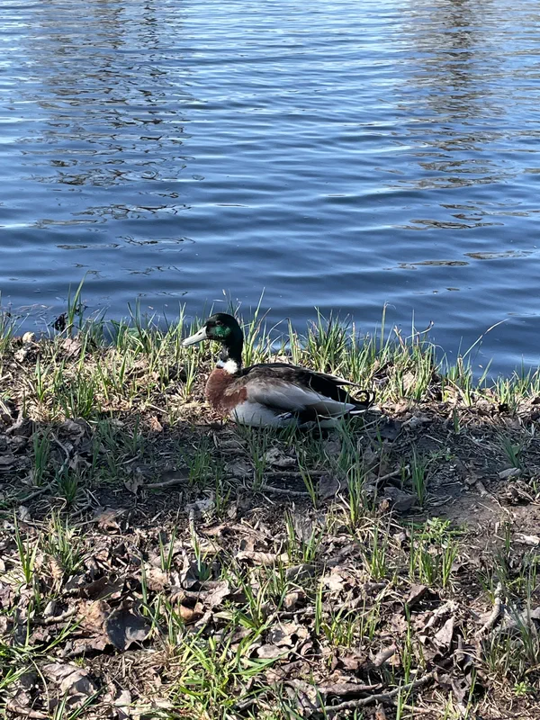 Autour des marais de Sauchy-Cauchy
