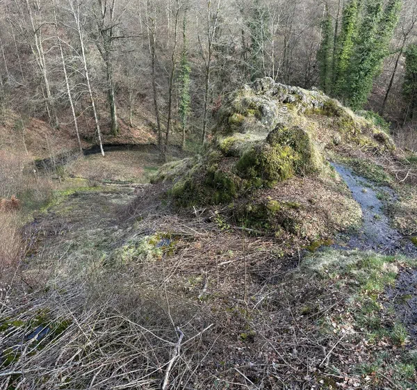 Le gros Cron, Lahage