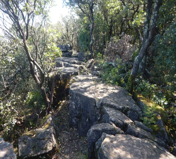 Rando à Saint Sébastien d'Aigrefeuille