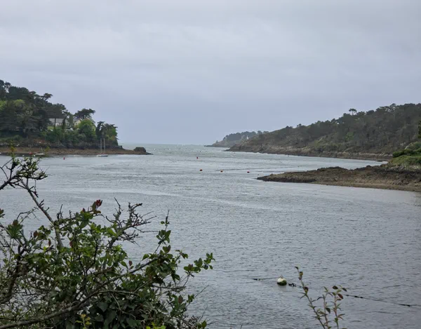 Virée à Ria de Belon et magie de l'estuaire
