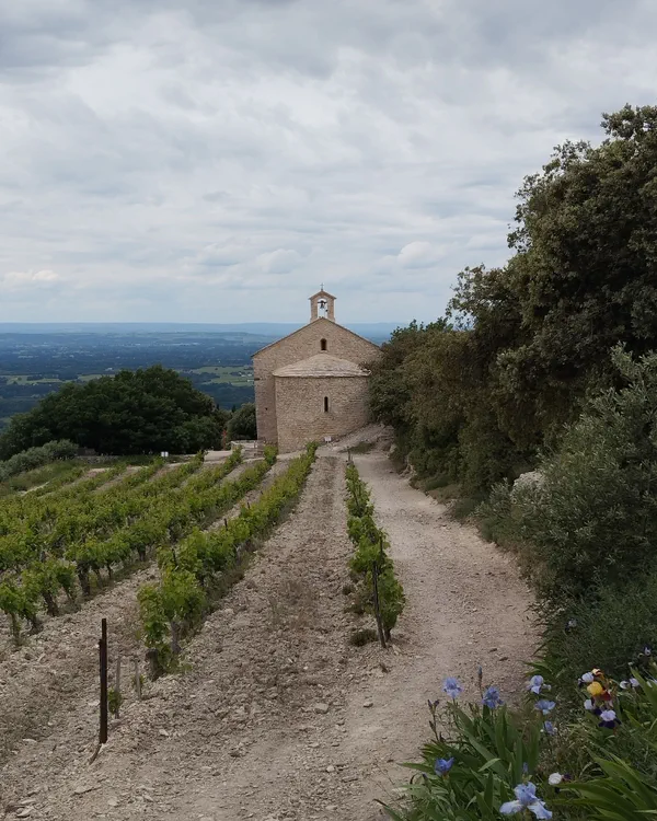 Sur les hauteurs de Beaume de Venise