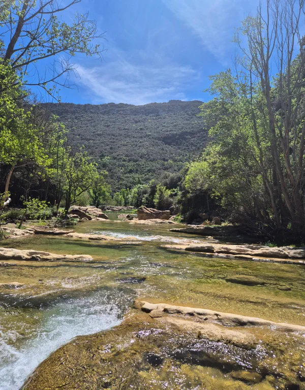 Découverte du Pays Cathare et magie du Verdouble avec sa cascade de Duilhac
