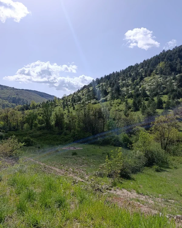 Alzon Au tour d'Alzon, par Valcroze