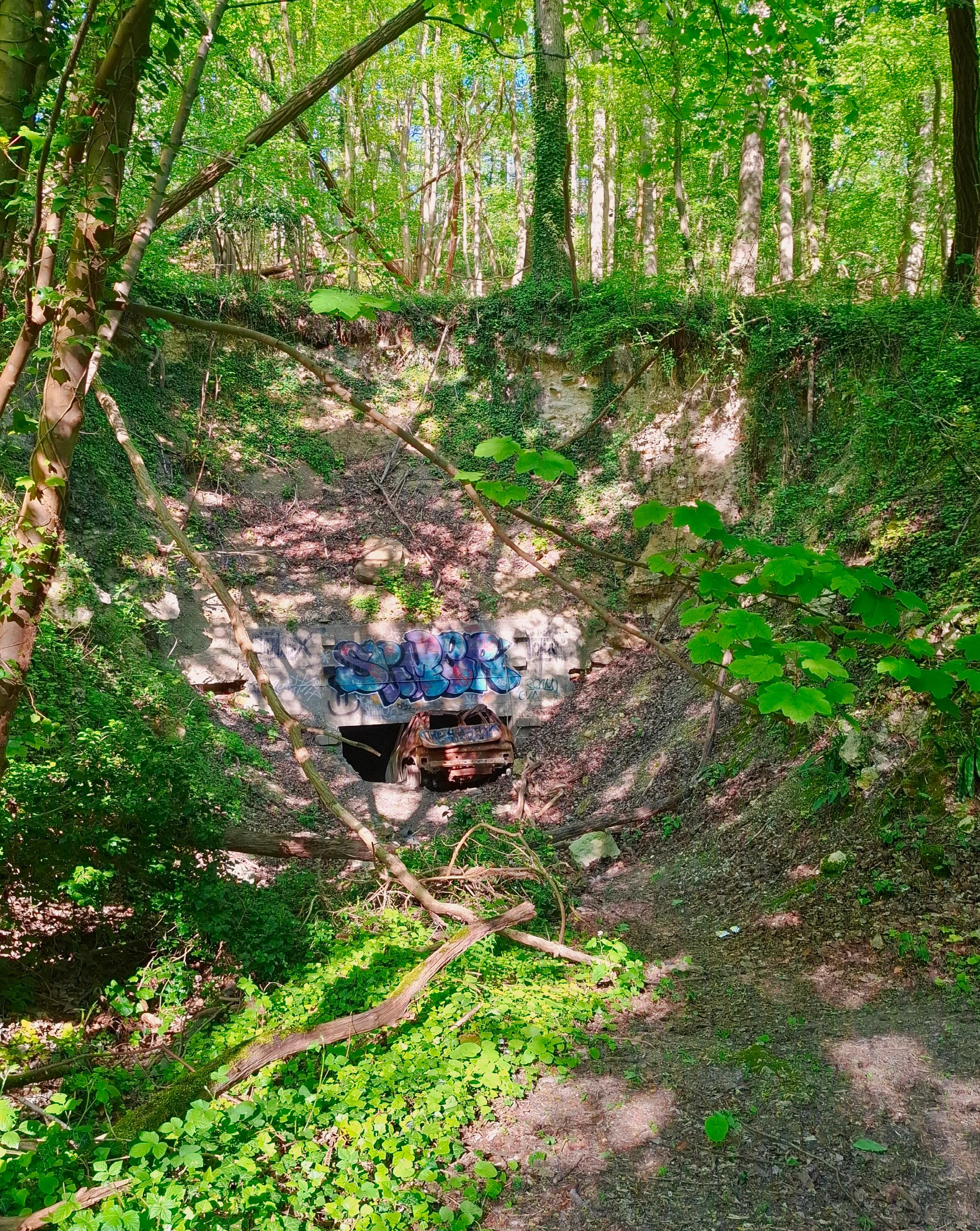Une voiture abandonnée dans un ravin boisé, recouverte de graffitis, avec une végétation luxuriante envahissant les environs. Mériel - Val-d'Oise. France