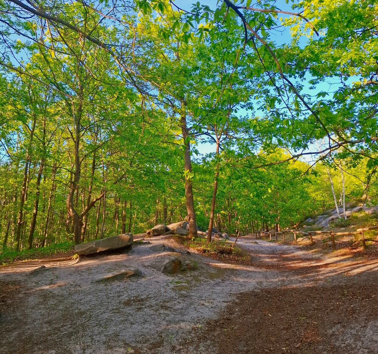Sentier de randonnée traversant une forêt verdoyante avec des rochers et des arbres feuillus sous un ciel bleu clair. Mériel - Val-d'Oise. France